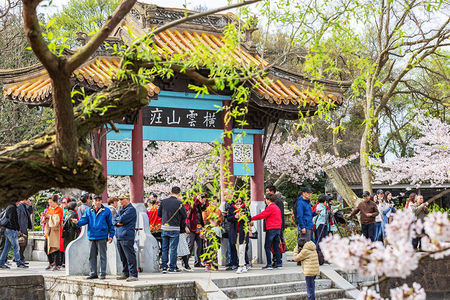 耀世平台娱乐：南京大学文科资深教授洪银兴受聘江西财大经济学院名誉院长